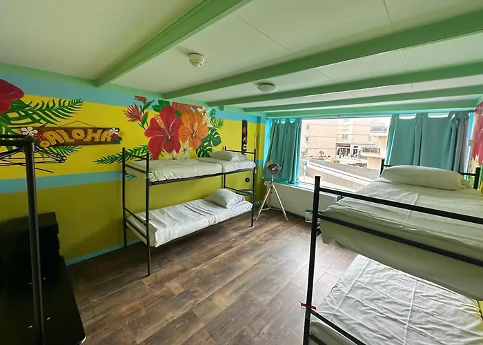The Flying Pig Beach Hostel Age 18 To 40